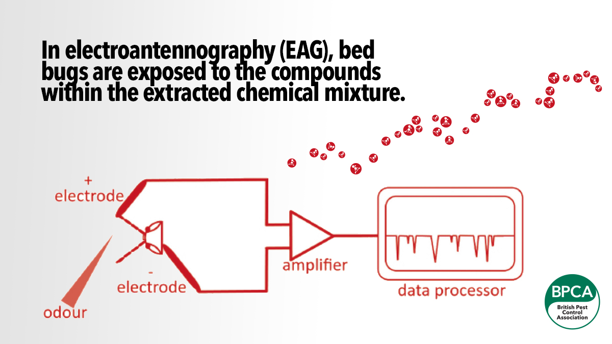 the-science-of-smell-main-image2 the-science-of-smell-main-image2